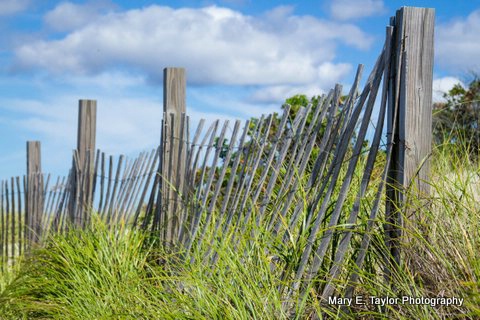 beach fence i - ID: 14927197 © Mary E. Taylor