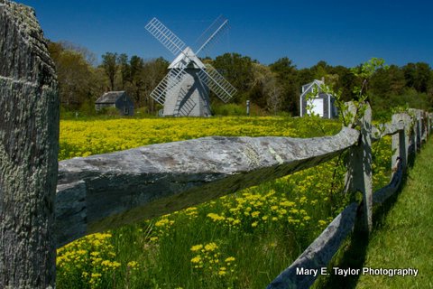higgins farm - ID: 14927201 © Mary E. Taylor