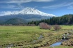 Mt. Shasta, Calif...
