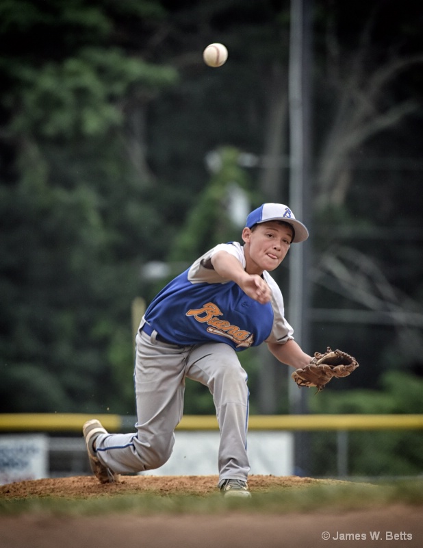 Little League Baseball 