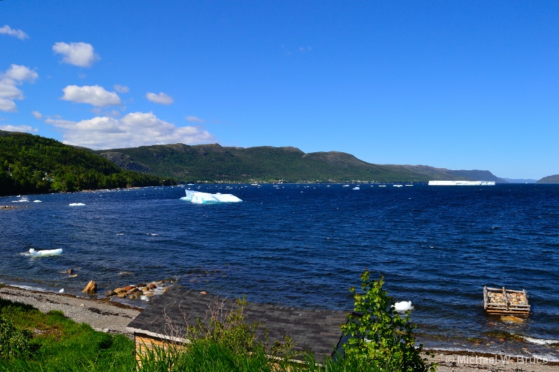 Rattling Brook, NL. Iceberg