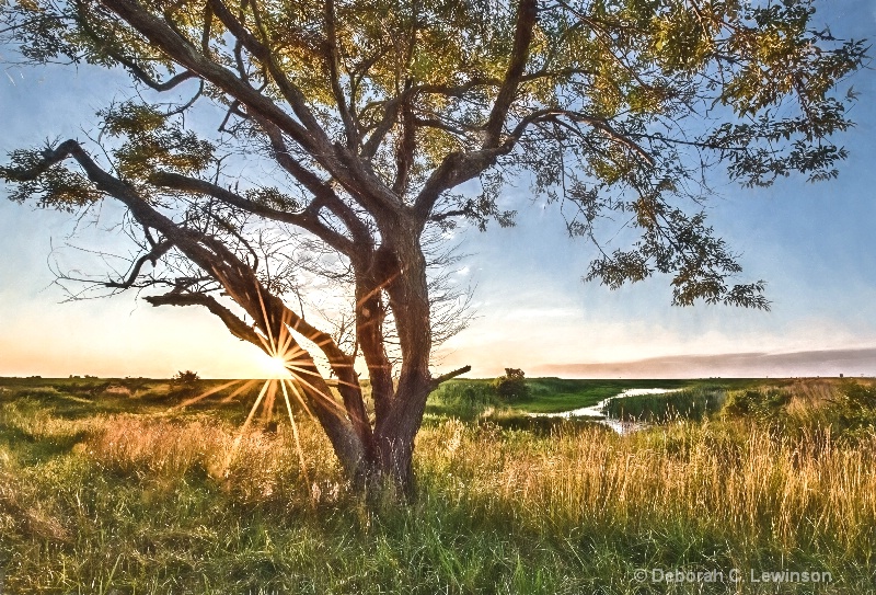 Sunrise on the Marsh