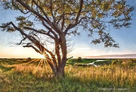 Sunrise on the Marsh