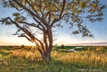 May 2020 Photo Contest 2nd Place Prize Winner