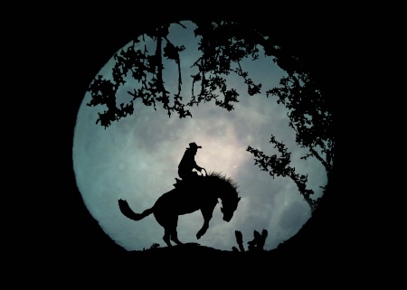 Buckaroo Moon