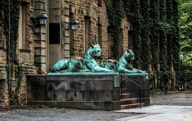 The Princeton Tigers of Nassau Hall