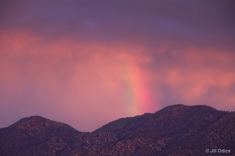 Desert Rainbow