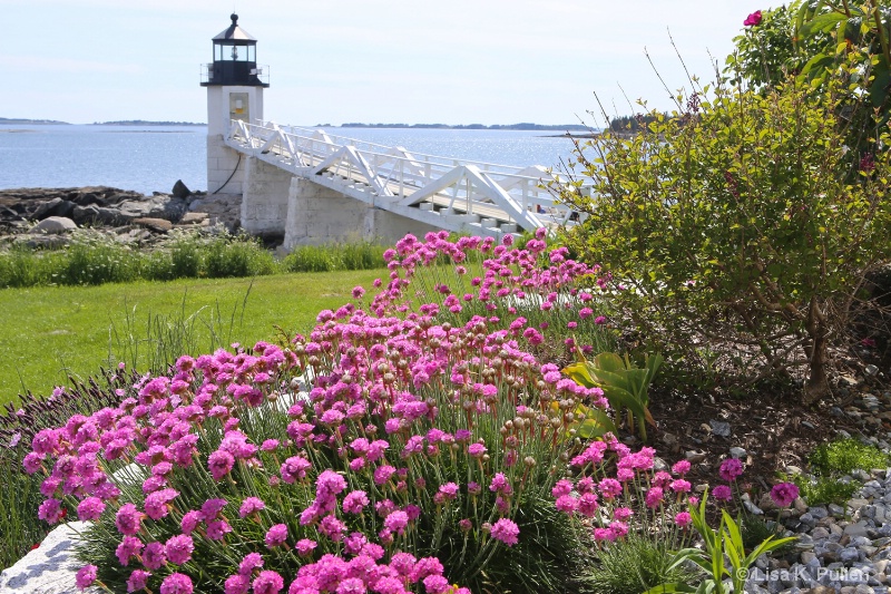 Marshall Point Pinks