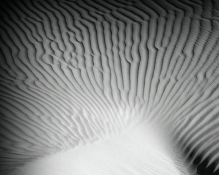 Dune patterns, DVNP