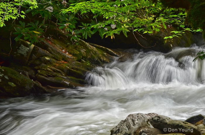 Tremont Stream