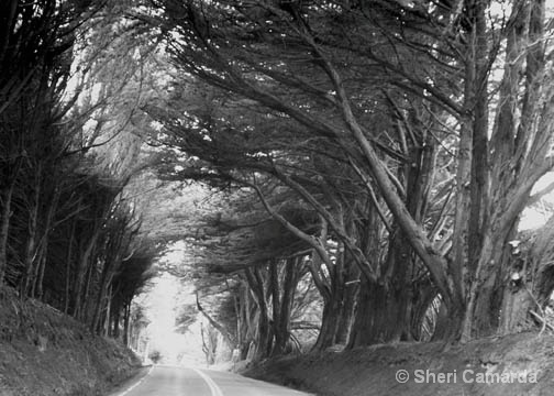 Light At The End Of The Tunnel  - ID: 14934958 © Sheri Camarda