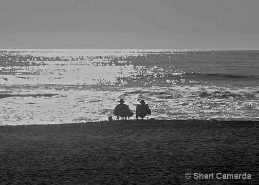 Relaxing Together - ID: 14934964 © Sheri Camarda