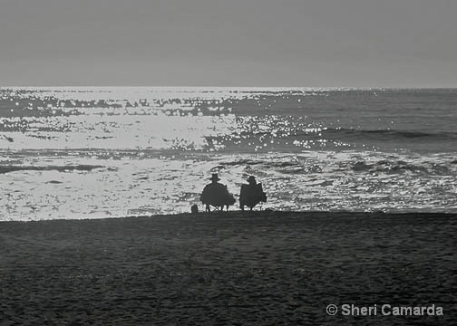 Relaxing Together - ID: 14934964 © Sheri Camarda