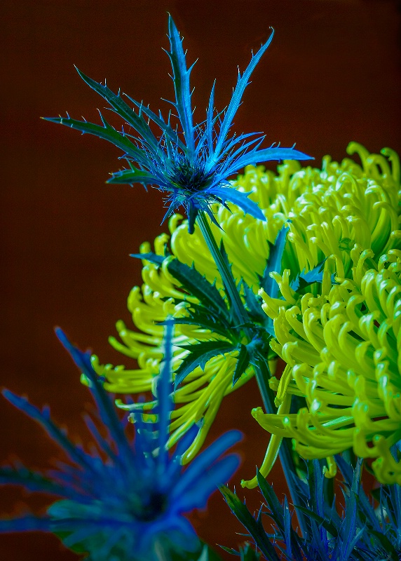 Blue and Yellow Bouquet 