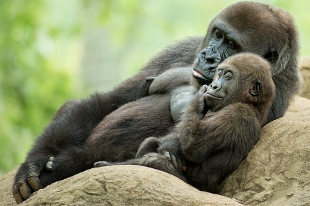 Mom and Baby Chilling Time