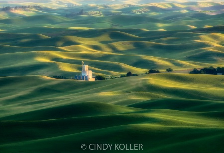 Palouse wheatfields from Steptoe Butte at sunset