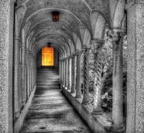 July 2015 Photo Contest 2nd Place Prize Winner
