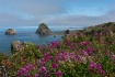 South Oregon Coas...