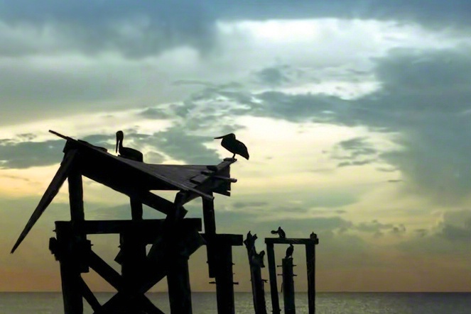 Evening on the Gulf of Mexico