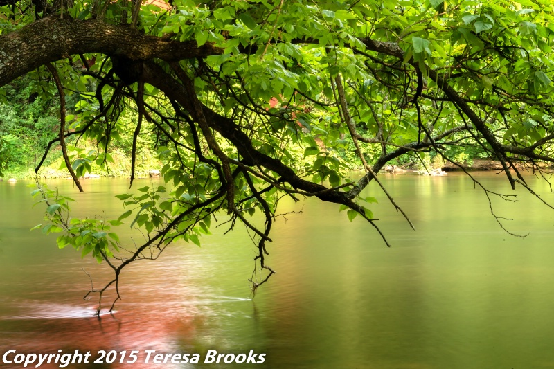 tulpehocken creek 