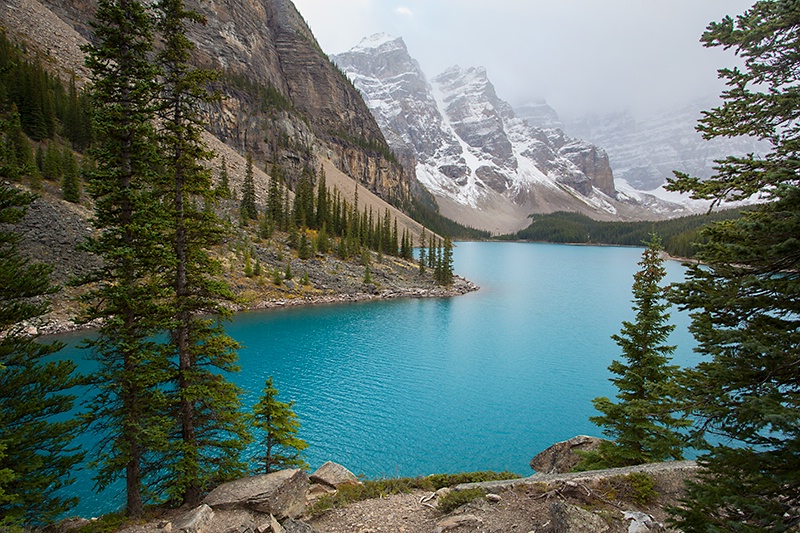 Alpine Beauty