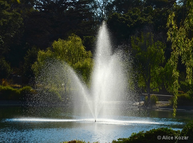 Favorite Pond Fountain - ID: 14937983 © Alice Kozar