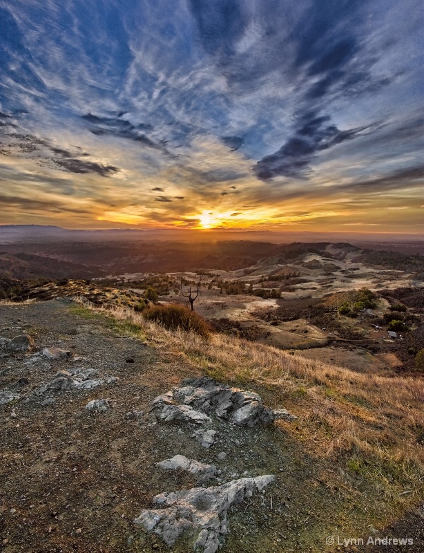 Figueroa Mountain Sunset - ID: 14938520 © Lynn Andrews