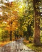 Fall in New Engla...