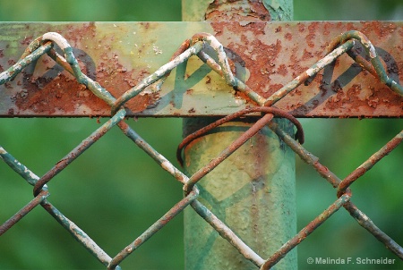 Chain Link Detail