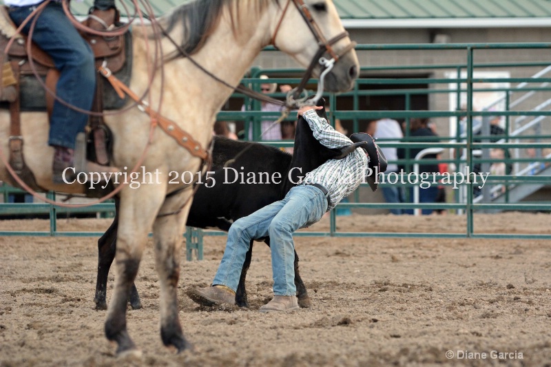 camden ketchum ujra15 7 - ID: 14940518 © Diane Garcia