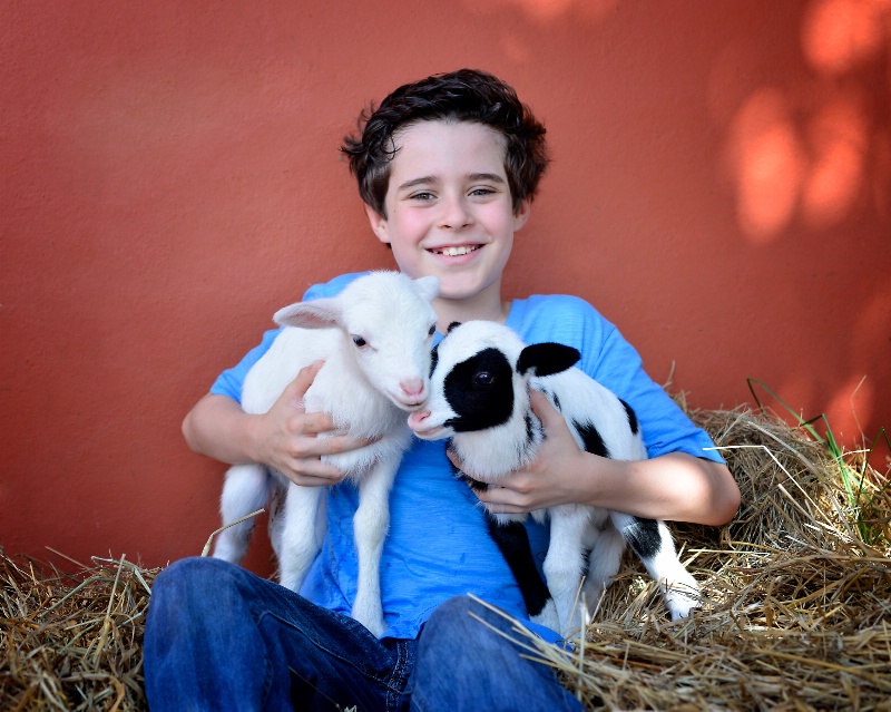 Two Little Lambs - ID: 14940767 © Viveca Venegas