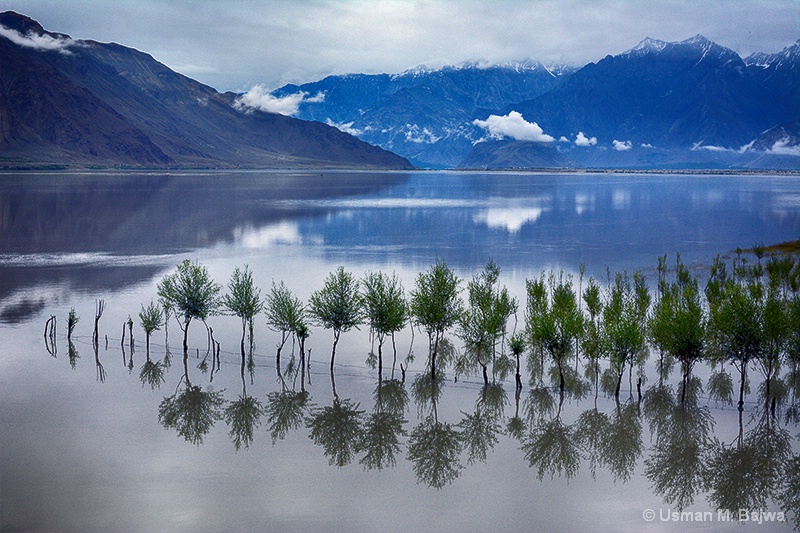 Beginnings of Indus