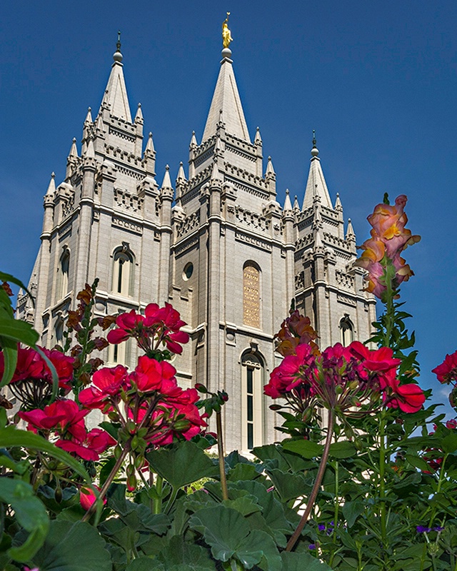 The Mormon Temple and Flowers