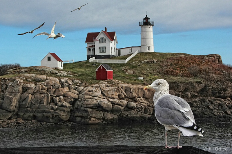 Sea Gulls and Lighthouse