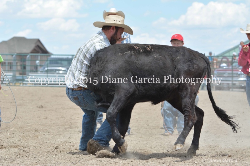 ujra parent rodeo 2015  31  - ID: 14942892 © Diane Garcia
