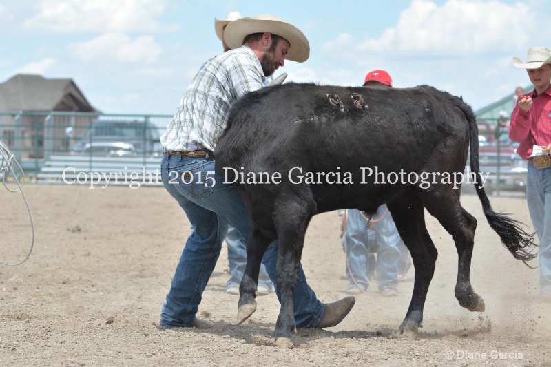ujra parent rodeo 2015  30  - ID: 14942893 © Diane Garcia