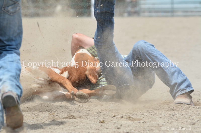 ujra parent rodeo 2015  29  - ID: 14942894 © Diane Garcia