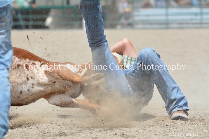 ujra parent rodeo 2015  28  - ID: 14942895 © Diane Garcia