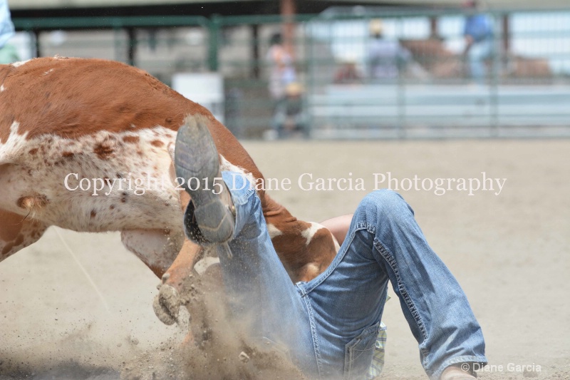 ujra parent rodeo 2015  27  - ID: 14942896 © Diane Garcia