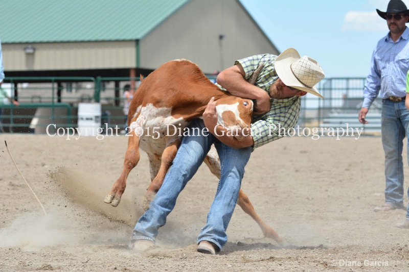 ujra parent rodeo 2015  26  - ID: 14942897 © Diane Garcia