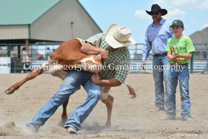 ujra parent rodeo 2015  25  - ID: 14942898 © Diane Garcia