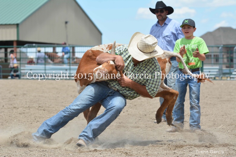 ujra parent rodeo 2015  24  - ID: 14942899 © Diane Garcia