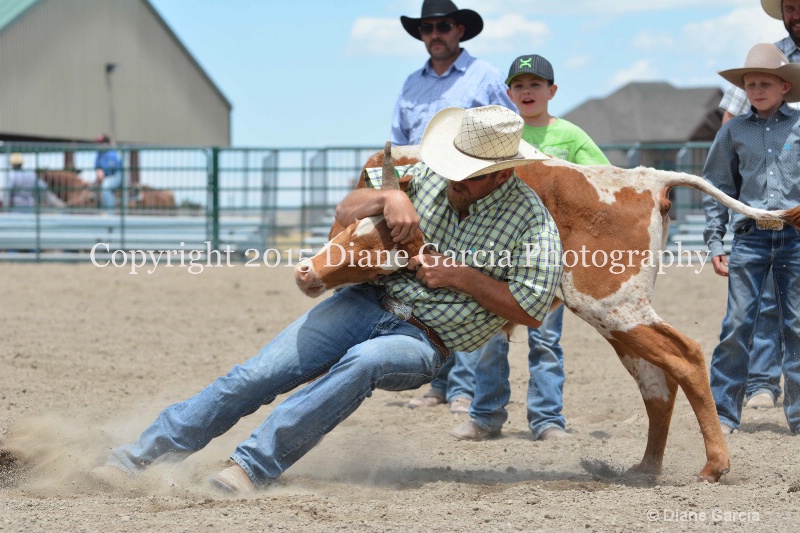ujra parent rodeo 2015  23  - ID: 14942900 © Diane Garcia