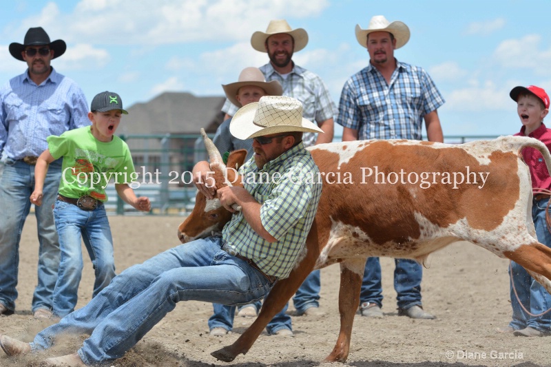 ujra parent rodeo 2015  21  - ID: 14942902 © Diane Garcia