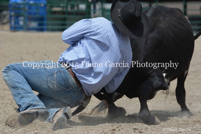 ujra parent rodeo 2015  20  - ID: 14942903 © Diane Garcia