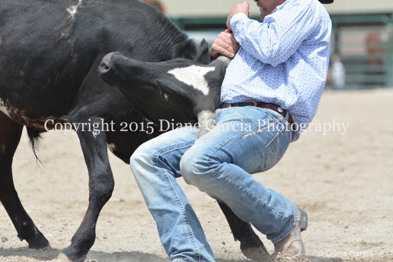 ujra parent rodeo 2015  19  - ID: 14942904 © Diane Garcia
