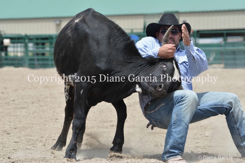 ujra parent rodeo 2015  18  - ID: 14942905 © Diane Garcia