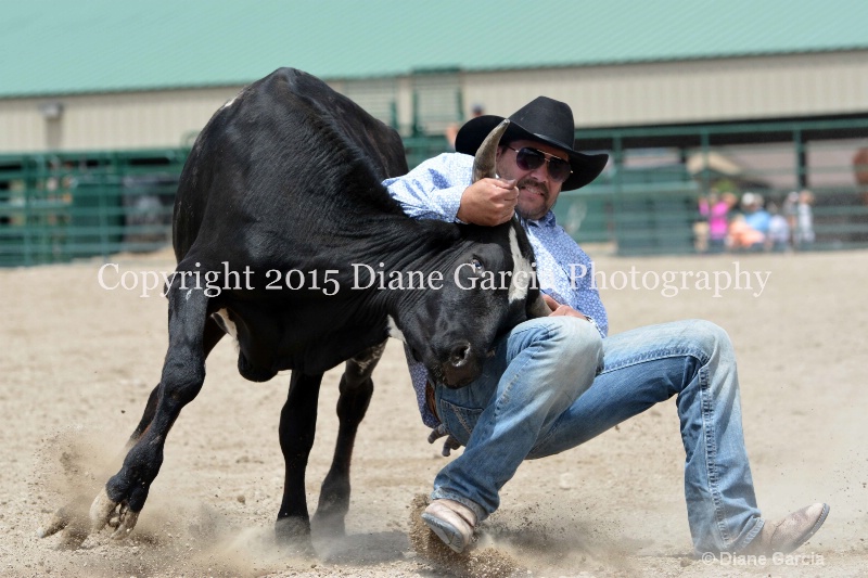 ujra parent rodeo 2015  17  - ID: 14942906 © Diane Garcia