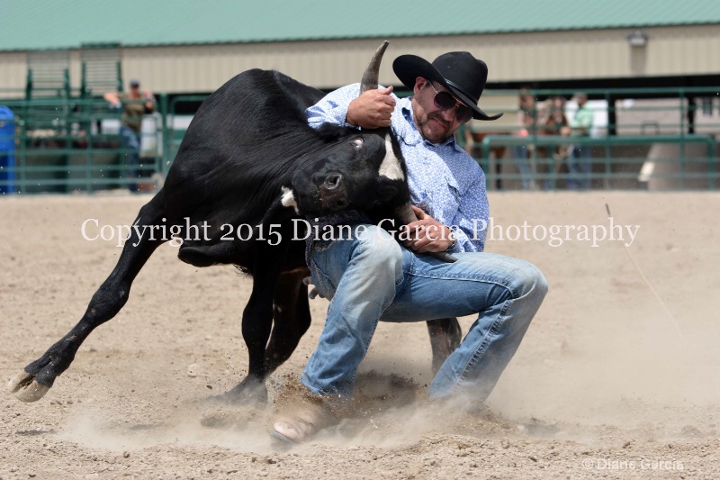 ujra parent rodeo 2015  16  - ID: 14942907 © Diane Garcia