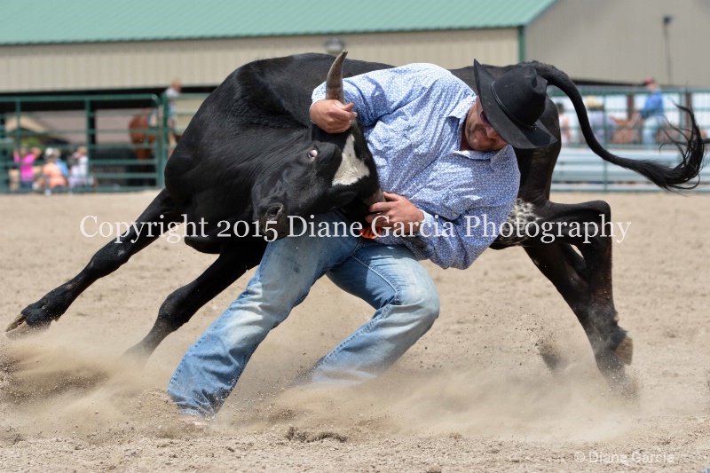 ujra parent rodeo 2015  15  - ID: 14942908 © Diane Garcia